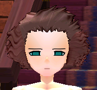 Berched Wig Equipped Front.png