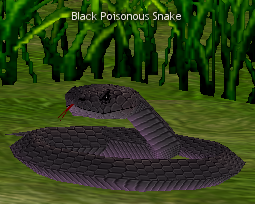 Picture of Black Poison Snake