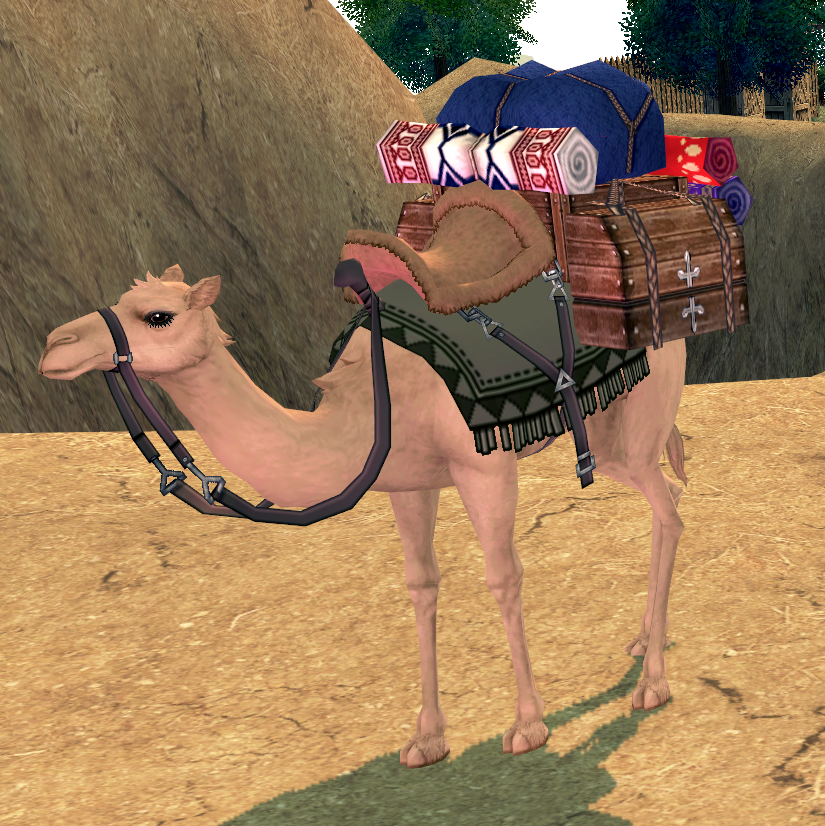 Camel.png