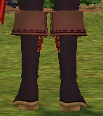Equipped Dashing Pirate Boots (M) viewed from the back