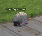 Picture of Town Square Rat