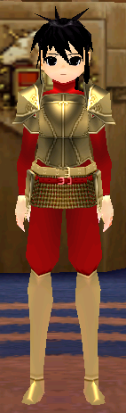 Equipped Valencia's Cross Line Plate Armor (M) (Gold Armor, Red Cloth) viewed from the front