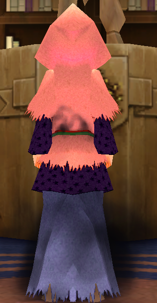 Equipped Male Fomor Research Robe viewed from the back with the hood up