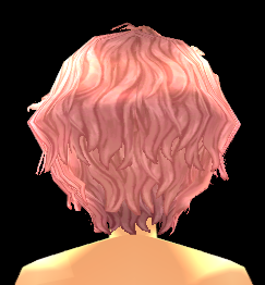 Equipped Talvish Wig viewed from the back