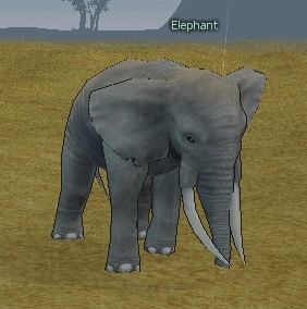 Picture of Elephant (Gray)