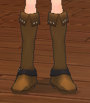Tybalt's Shoes (Not available for Dyeing) Equipped Front.png