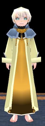 Equipped Male Starlight Robe viewed from the front with the hood down