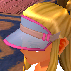 Equipped Lifeguard Visor viewed from an angle