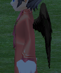 Black Cupid Wings Equipped Side Night.png