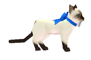 Lovely Siamese 1.png