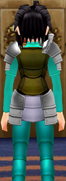Equipped High-Class Leather Armor viewed from the back