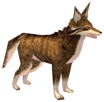 Picture of Brown Coyote