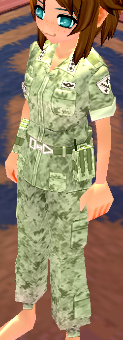 Equipped Desert Soldier Camo Uniform (F) viewed from an angle