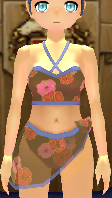 Swimsuit (F) (Type 2) Equipped Front.png