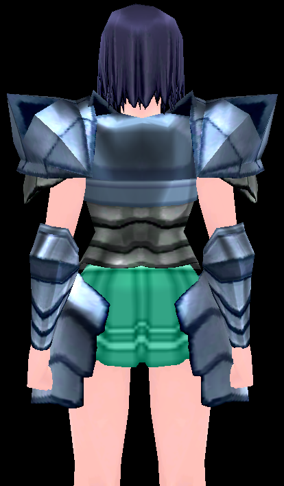Equipped GiantFemale Dragon Rider Plate Armor viewed from the back