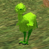 Picture of Frail Green Kiwi