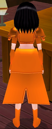 Equipped Arish Ashuvain Armor (F) (Orange) viewed from the back