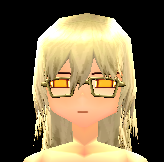 Wood-rimmed_Glasses_Equipped_Front.png