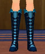 Equipped Magus Crest Boots (M) viewed from the front