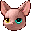 Icon of Odd Kitty Head (F)