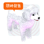 White Poodle1.gif