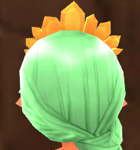 Equipped Pumpkin Crown (F) viewed from the back