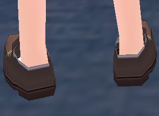 Equipped Mabinogi School Shoes viewed from the back