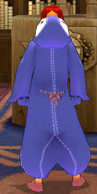 Equipped Giant Penguin Robe viewed from the back with the hood down