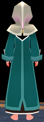 Equipped Female Starlight Robe viewed from the back with the hood up