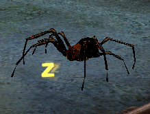 Guard Spider.png