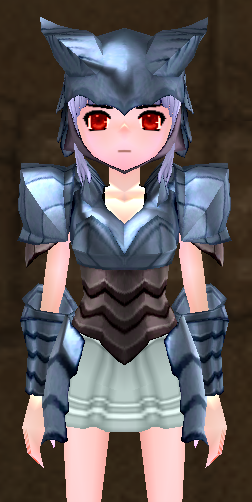 Equipped Female Dragon Rider Plate Armor viewed from the front