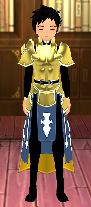 Equipped Heathcliff SAO Armor viewed from the front