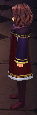 Paris's Costume (NPC) Equipped Side.png
