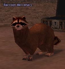 Picture of Raccoon (Mercenary)