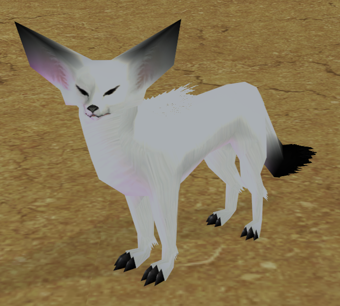 Picture of White Fennec Fox