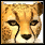 Pet Cheetah.png