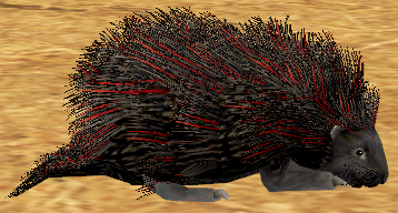 Picture of Young Dark Red Porcupine