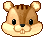 Icon of Squirrel Mascot Head