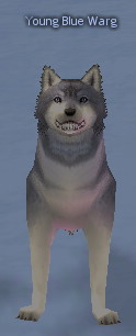 Picture of Young Blue Warg