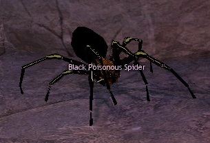 Picture of Black Poisonous Spider (Hardmode)