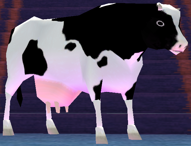 Picture of Cow