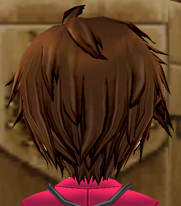 Equipped Altam Wig viewed from the back