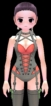 Equipped Playful Laced Corselet viewed from the front