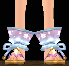 Ninja Anju's Shoes Equipped Front.png