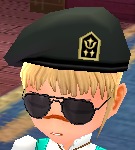Equipped Desert Soldier Sunglasses and Beret viewed from an angle