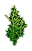 Inventory icon of Mugwort Leaf of Purification