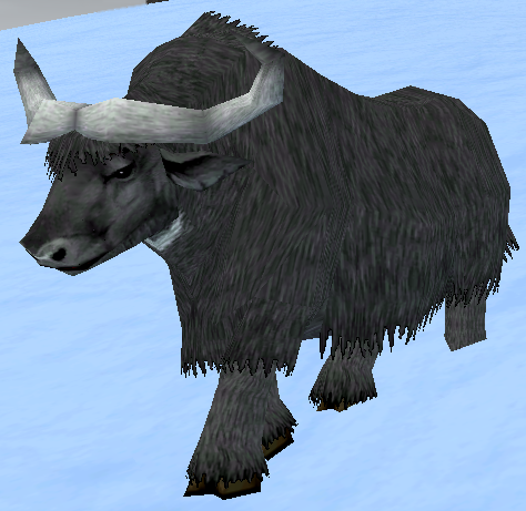 Picture of Young Black Buffalo