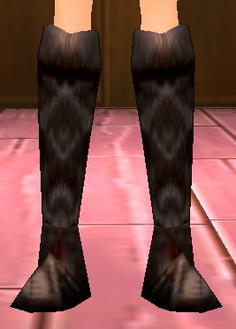 Leather Boots Equipped Front.png