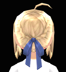 Equipped Saber Wig viewed from the back