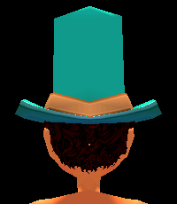 Equipped Pilgrim Hat (M) viewed from the back